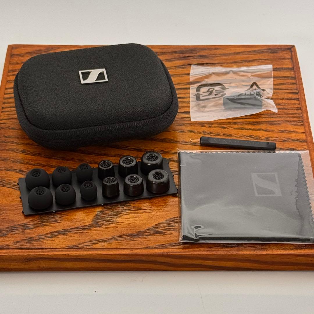 Sennheiser IE900 ゼンハイザー【付属品完備】