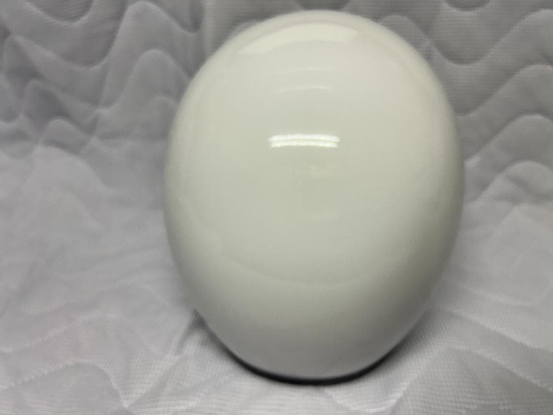 【装飾用】オーシャンビートル（サイズL)未使用