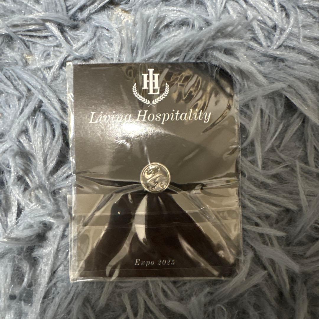 関西万博 EXPO2025 スイス カナダ　ピンバッジ 非売品　アフター万博