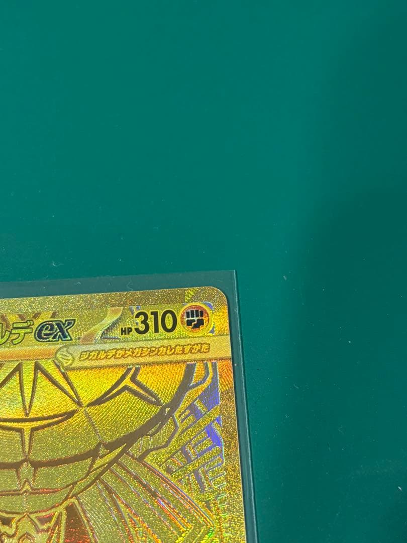 美品 メガジガルデEX MUR