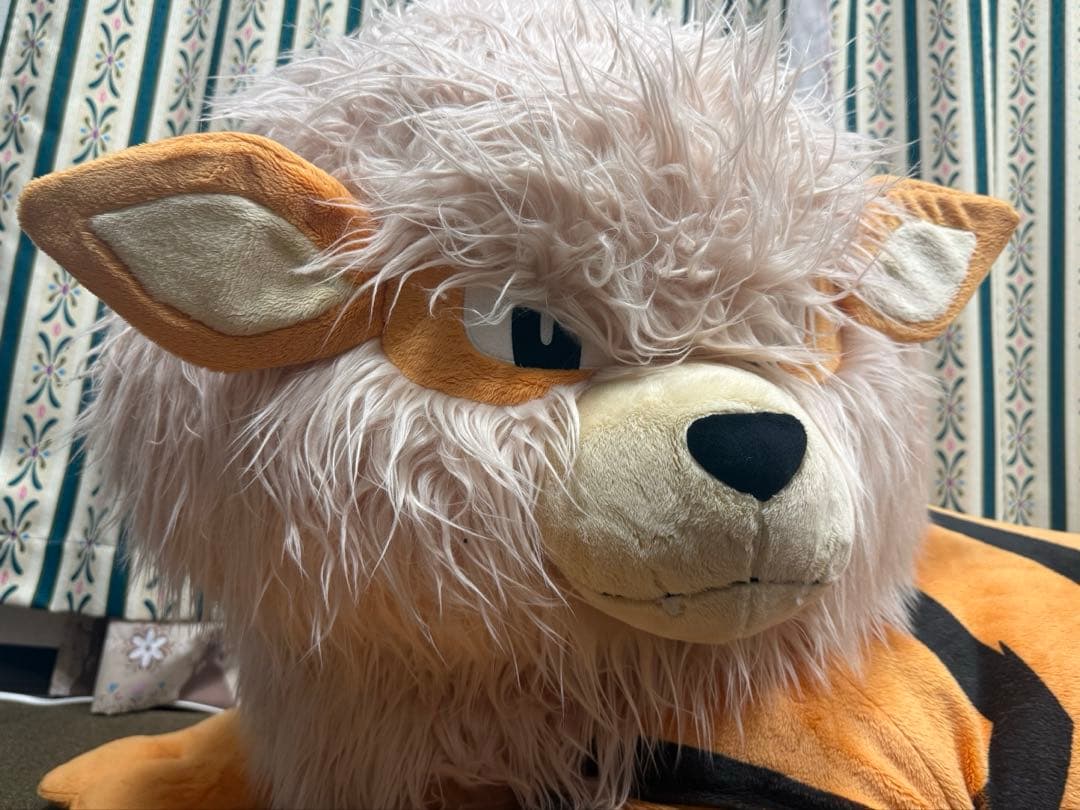 添い寝ウィンディ　ポケモンセンター　ぬいぐるみ