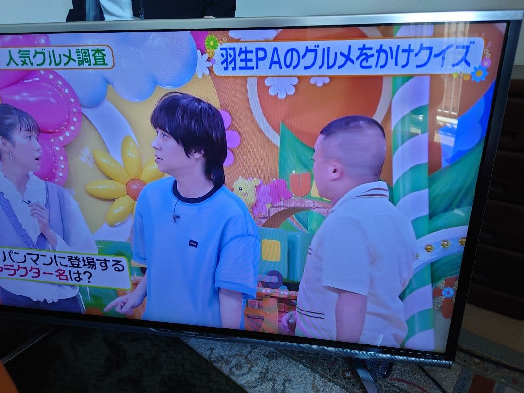 SHARP AQUOS　LC-46XL10 46インチ テレビ　送料込