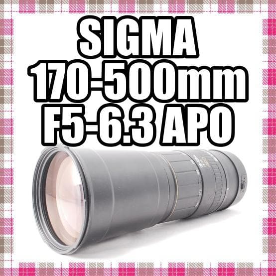 ✨超望遠✨SIGMA 170-500mm F5-6.3 APO Canon