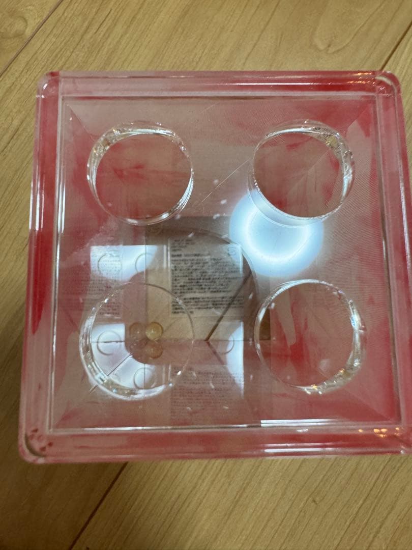 激レア商品！　Rady アイリスフラワー 歯ブラシスタンド