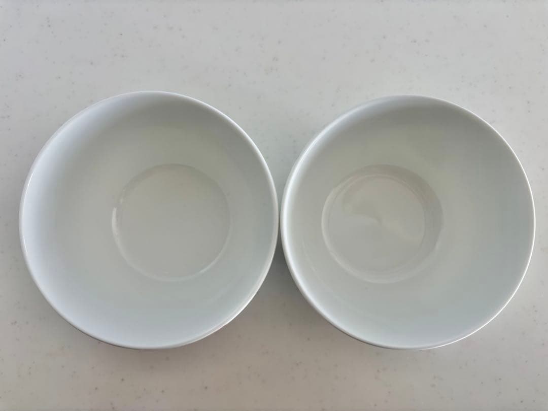 ノリタケ となりのトトロ お皿 2枚セット ジブリ