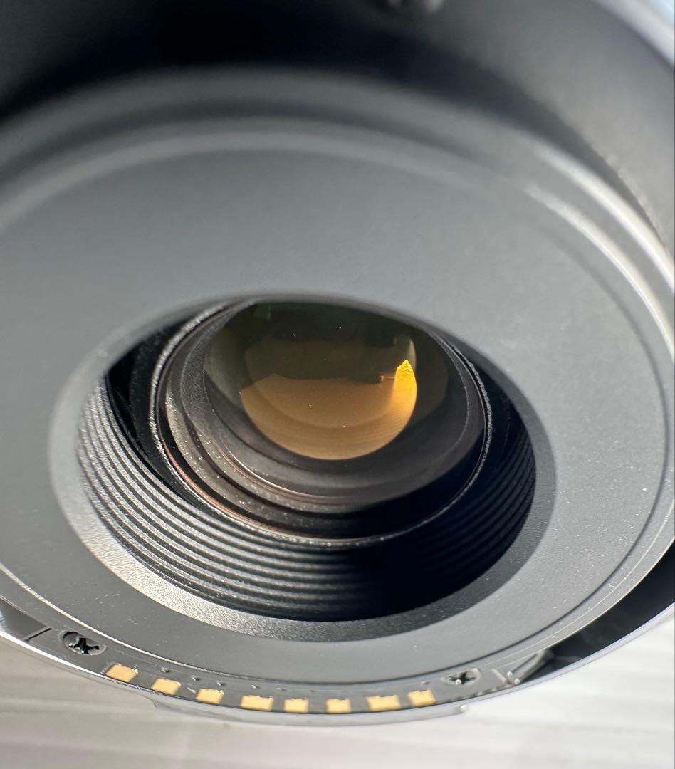 SONY 望遠ズームレンズ DT 55-300mm