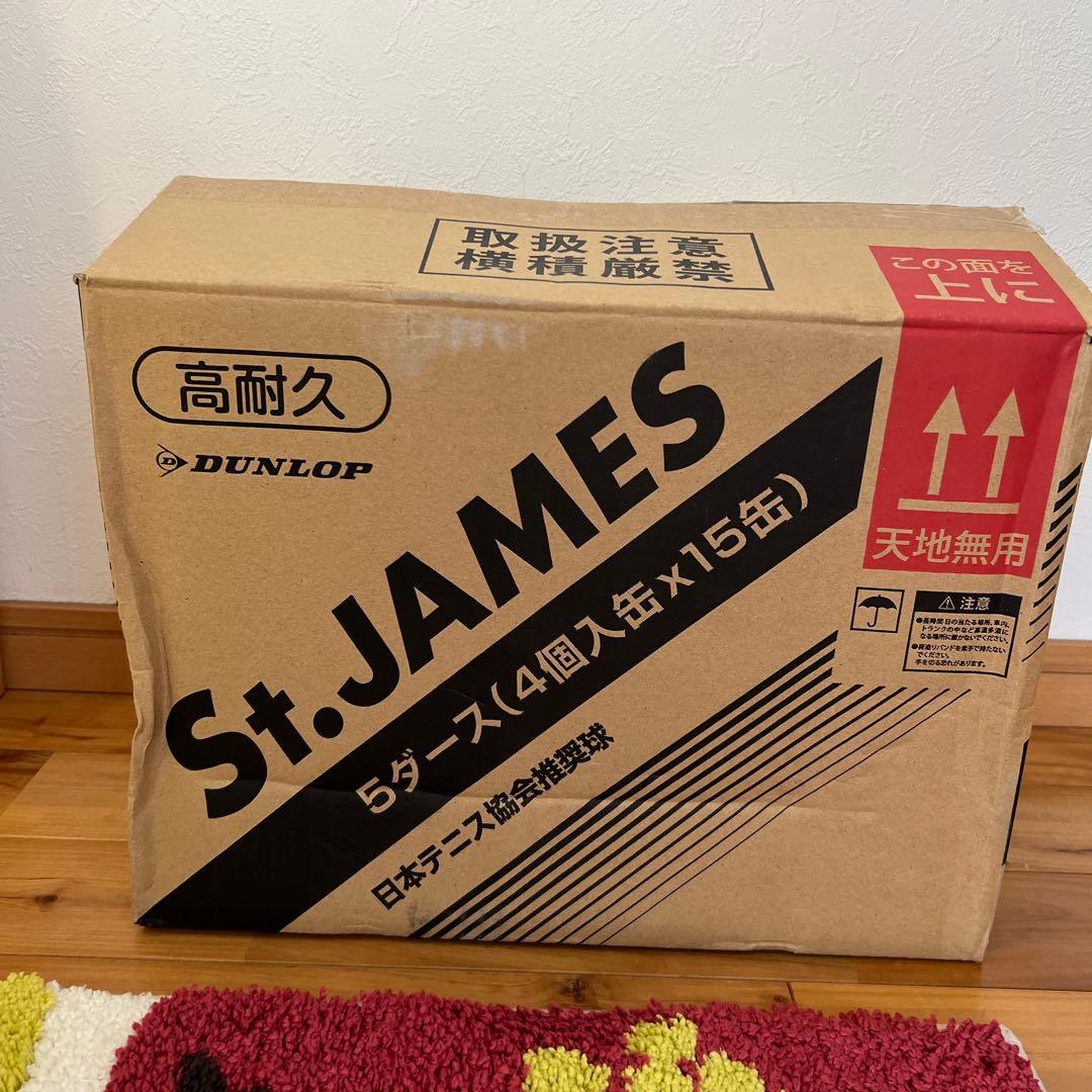 DUNLOP St.JAMES テニスボール 15缶入り