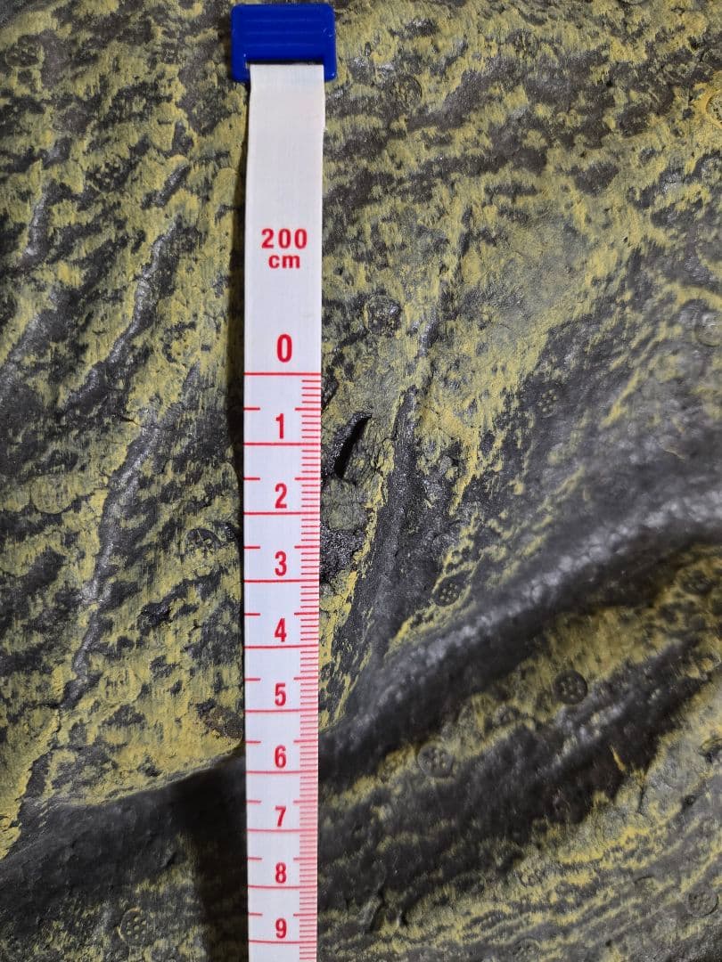 グラステラリウム4530(ヒーティングトップM、レプタイルヒートM付き)