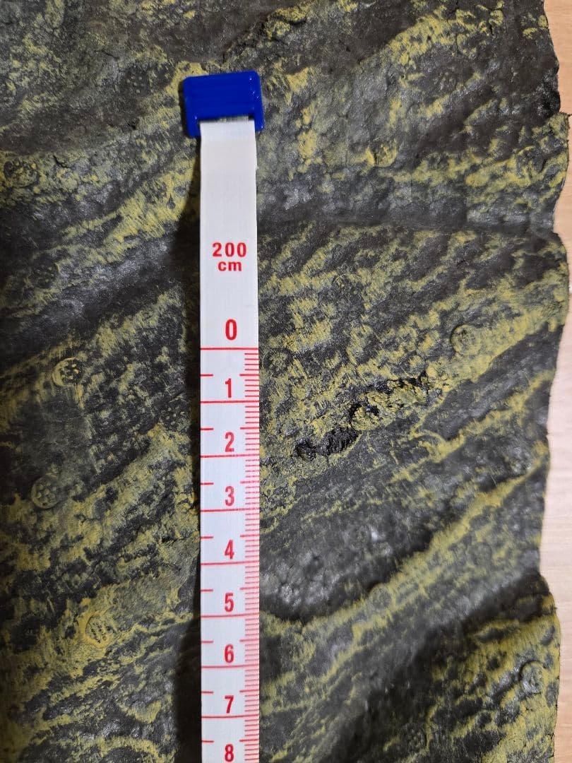 グラステラリウム4530(ヒーティングトップM、レプタイルヒートM付き)