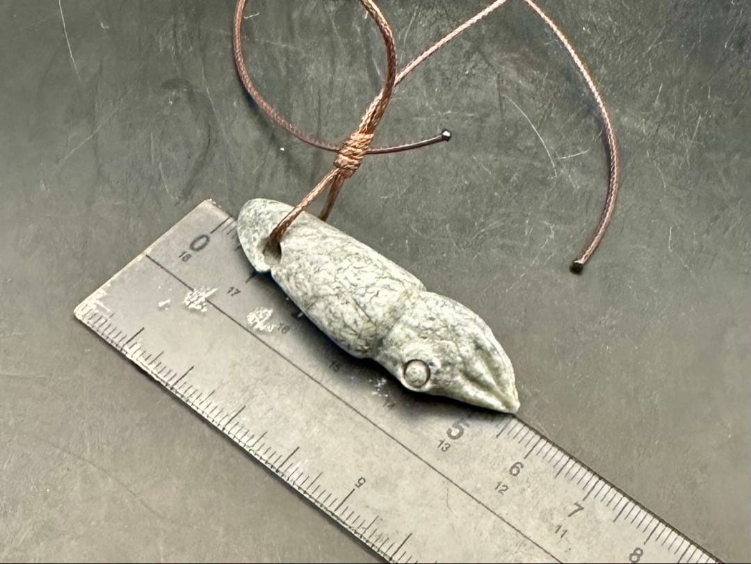 2025.8.31海霊イカ　糸魚川グレ翡翠