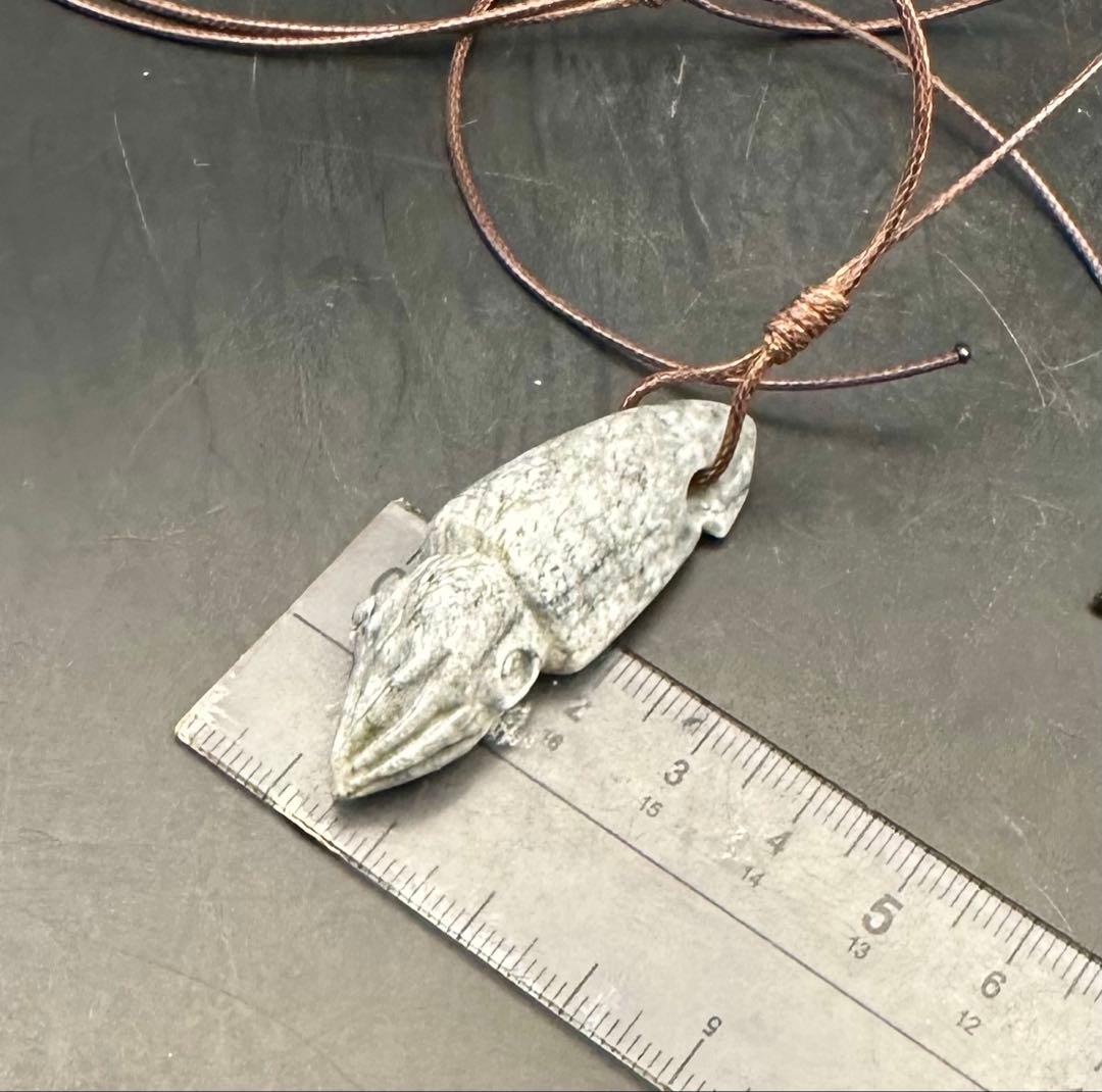 2025.8.31海霊イカ　糸魚川グレ翡翠