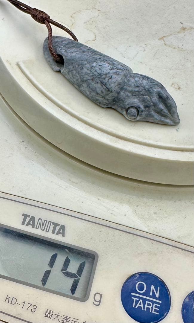 2025.8.31海霊イカ　糸魚川グレ翡翠