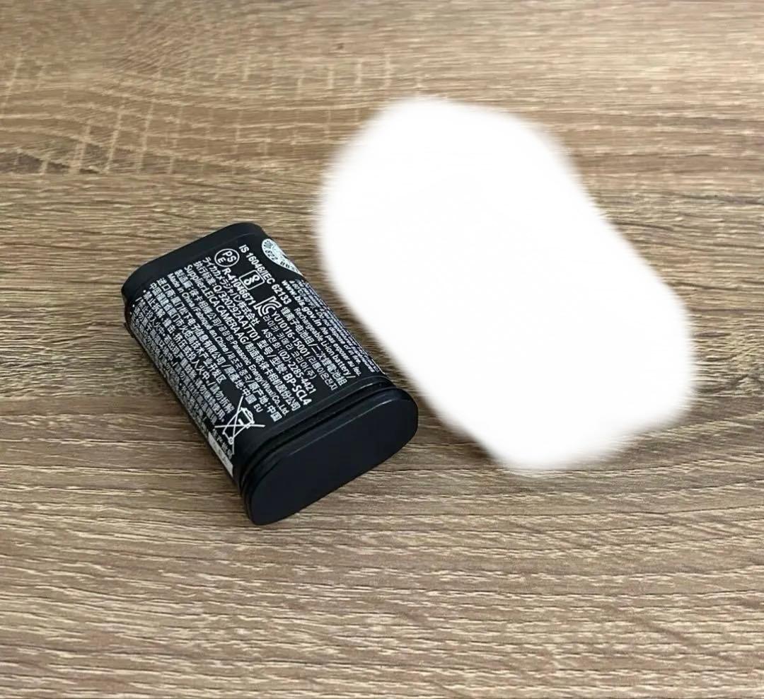 LEICA ライカ　SL2 SL2-S