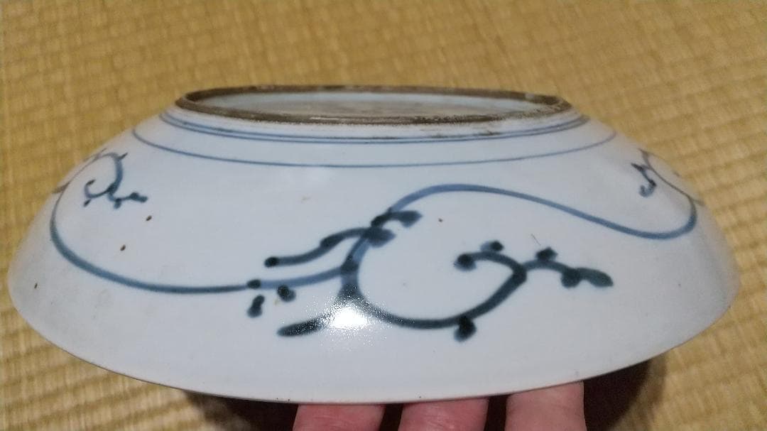 古伊万里　染付　花図　大皿（29cm）美品！富貴長春