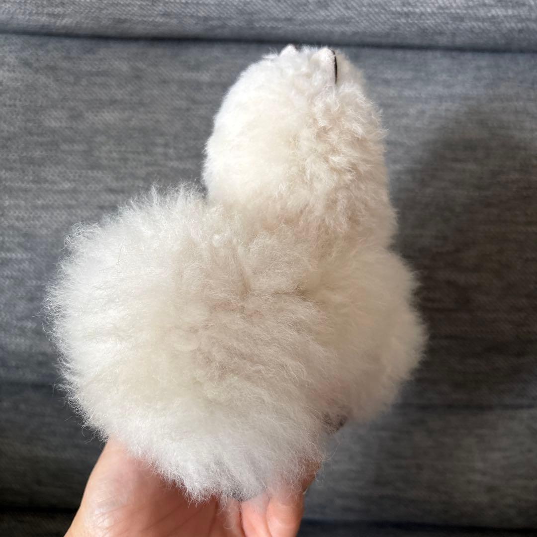 アルパカフェア　アルパカぬいぐるみ