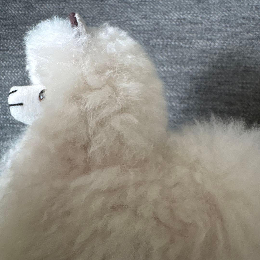 アルパカフェア　アルパカぬいぐるみ