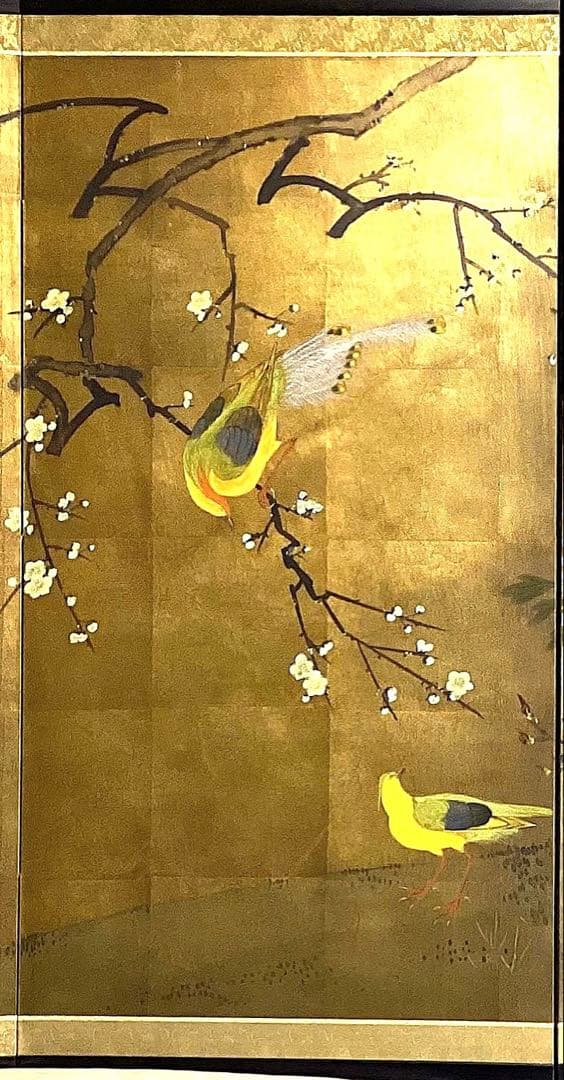 四つ折り屏風　日本画　金箔彩色　白梅に金鶏鳥