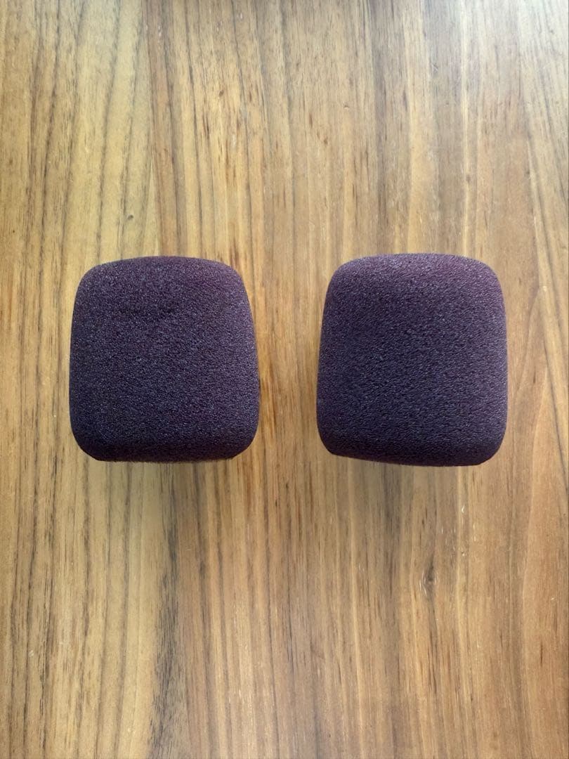 Aladdin Mic 2 カラオケマイク 2本セット