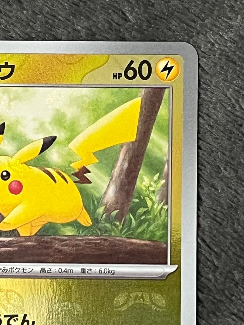 ピカチュウ マスターボールミラー 151