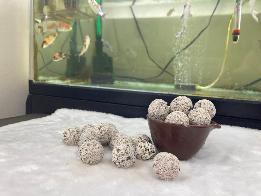 20kg業者様愛され高品質ろ材 納豆菌多孔質パワーボール20kg即時発送送料込み