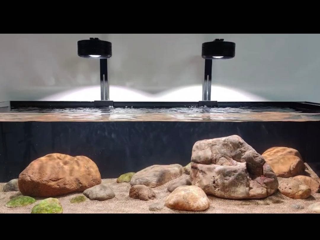 20kg業者様愛され高品質ろ材 納豆菌多孔質パワーボール20kg即時発送送料込み