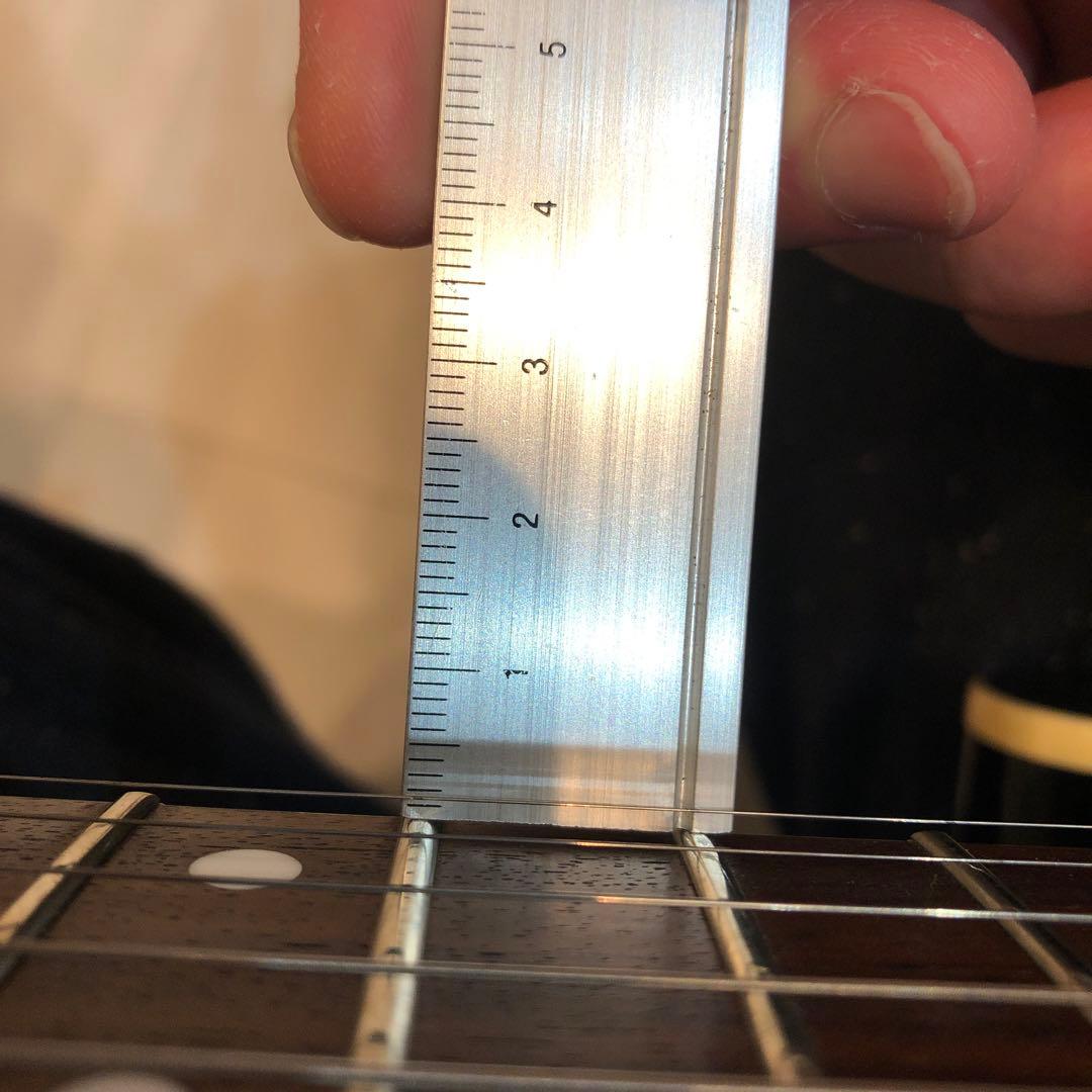 フェルナンデス　TEJ-55B Fernandes 布袋