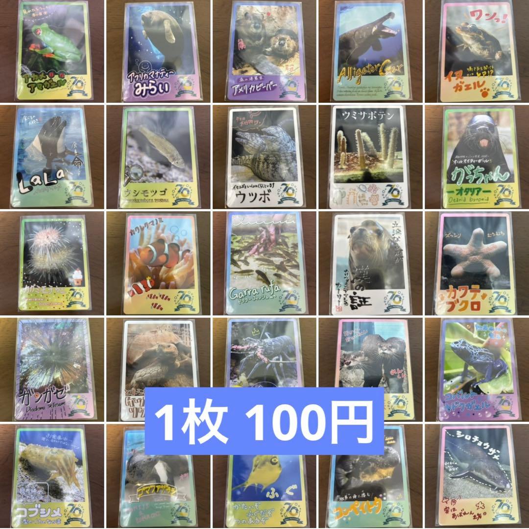 【バラ売り100円】鳥羽水族館 コレクションカード（とレカ）