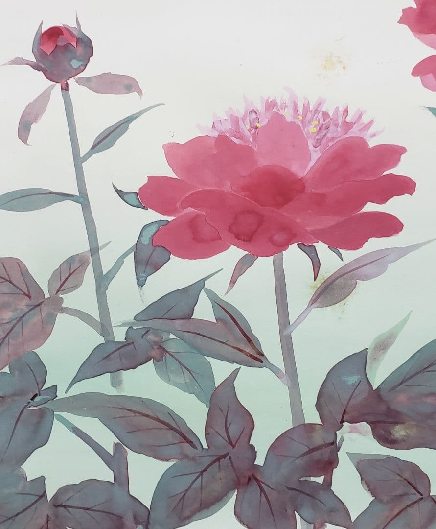 【芍薬図】北上聖牛 2583 シャクヤク 太巻き仕立 二重箱　掛け軸　肉筆