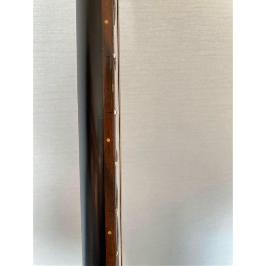 DANELECTRO STOCK59 グリーン