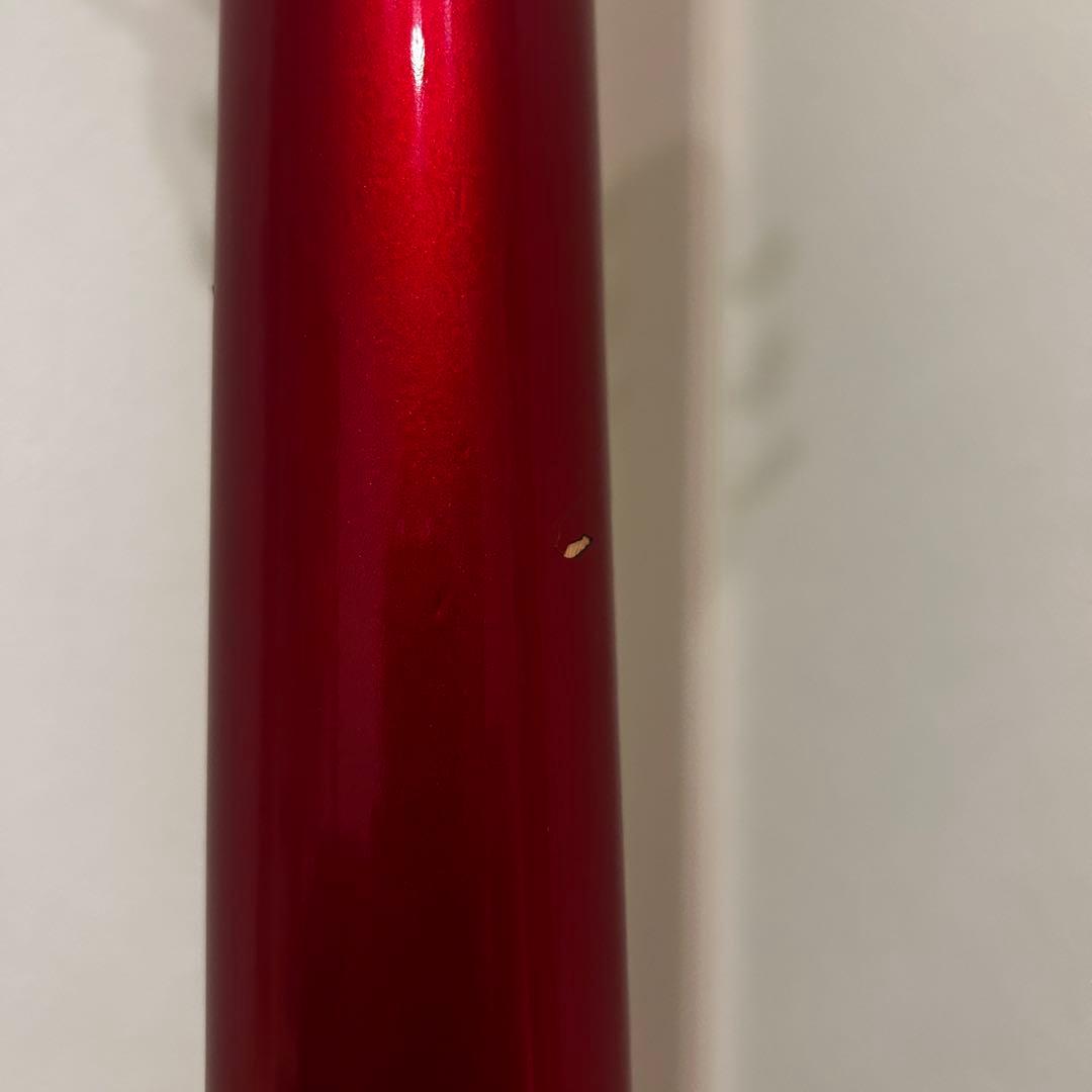 【限定品レアカラー】Rickenbacker 330 Ruby Red