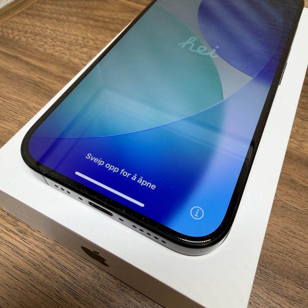 Apple iPhone 15Pro 256GB ケース付き