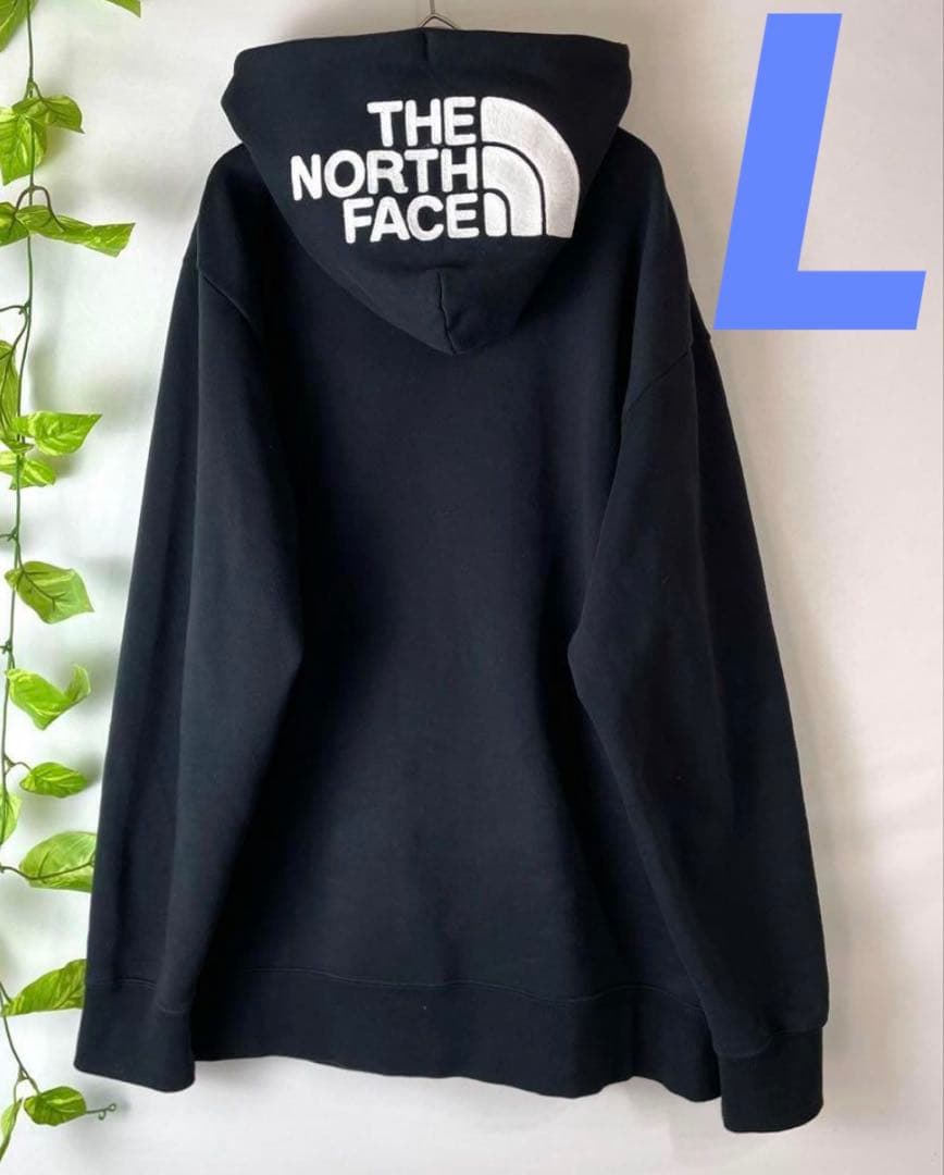 トップス THE NORTH FACE REARVIEW FULL ZIP HOODIE
