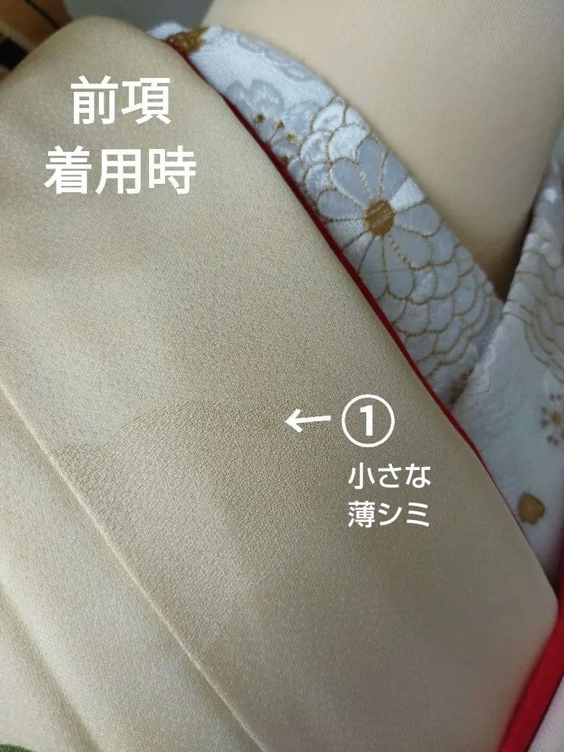 moma様429.アリスのティーパーティー振袖7点セット 正絹フルセット　成人式