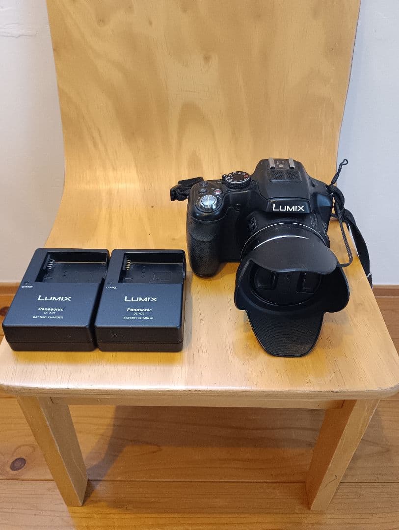専用　LUMIX FZ200 デジタルカメラ バッテリー2個付き