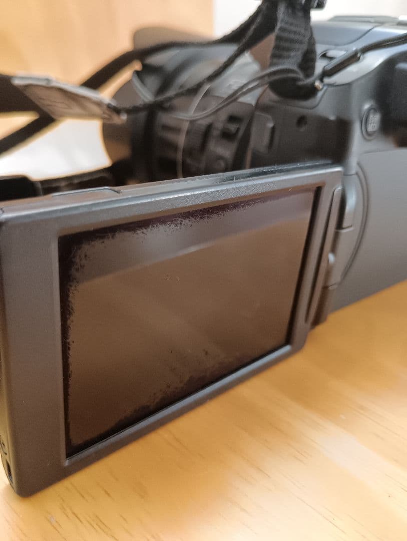 専用　LUMIX FZ200 デジタルカメラ バッテリー2個付き