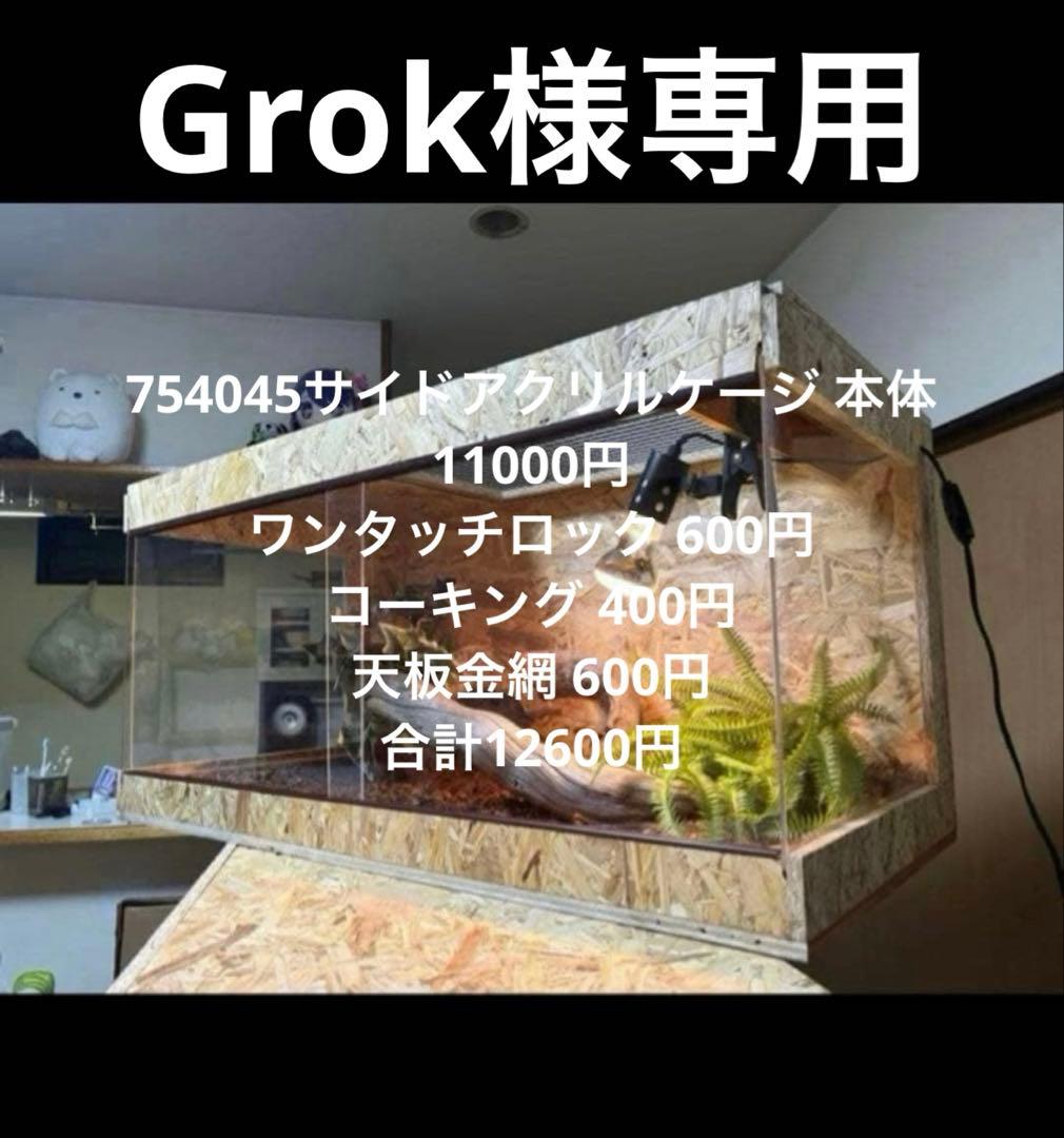 Grok　754045サイドアクリル