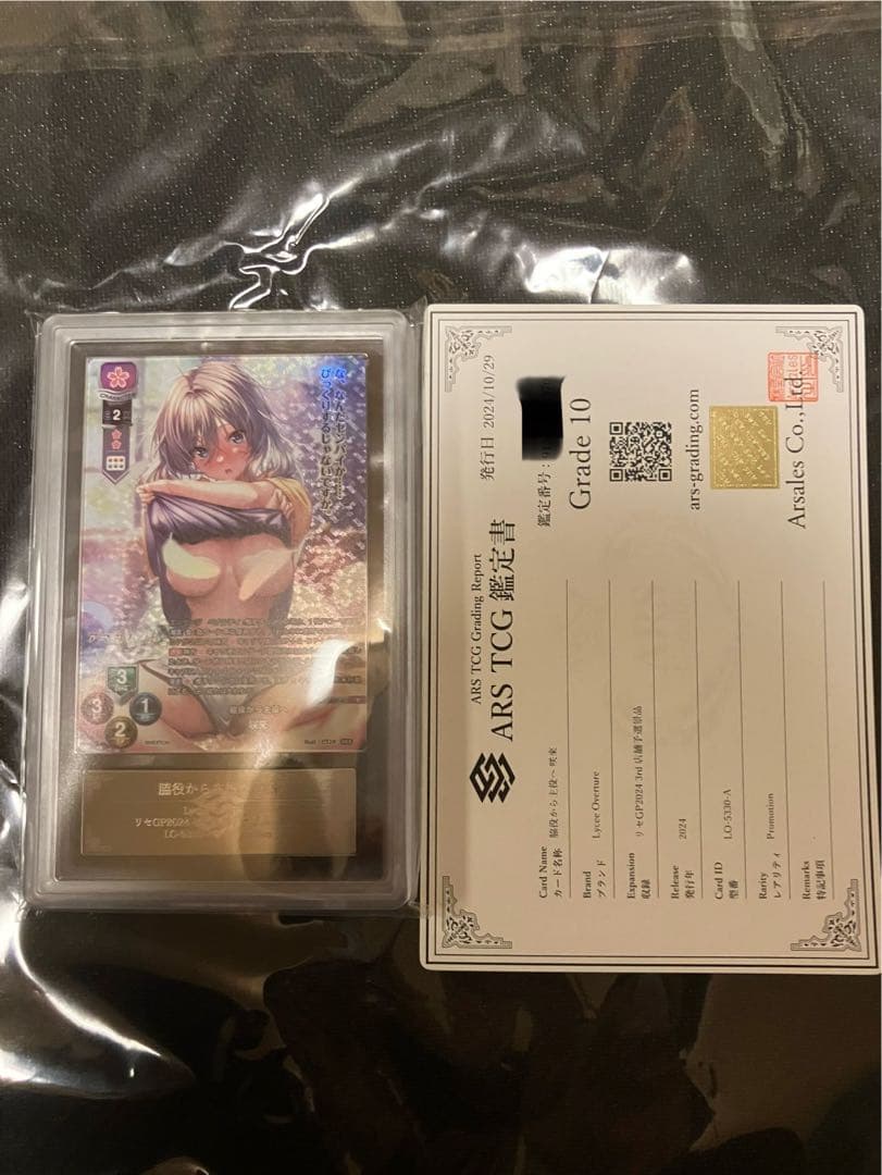 脇役から主役へ　咲來　GP予選　ARS10 鑑定書付き