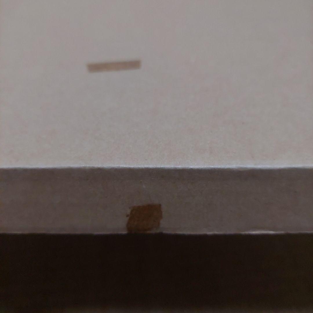 ハン・ビー 　風水画　油絵　絵画　白い花　新品未使用　 45×45㎝