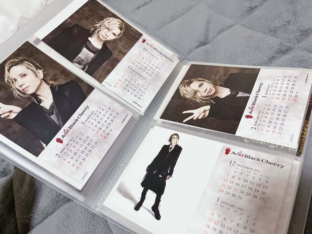 【美品】Acid Black Cherry トレカ 18枚 ポストカード 他