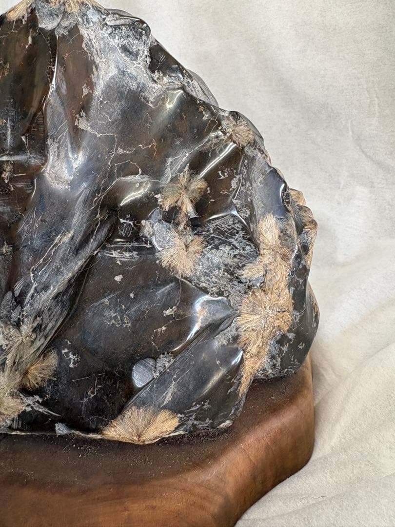 黄金菊花石　岩手県　陸中川井産　天然石