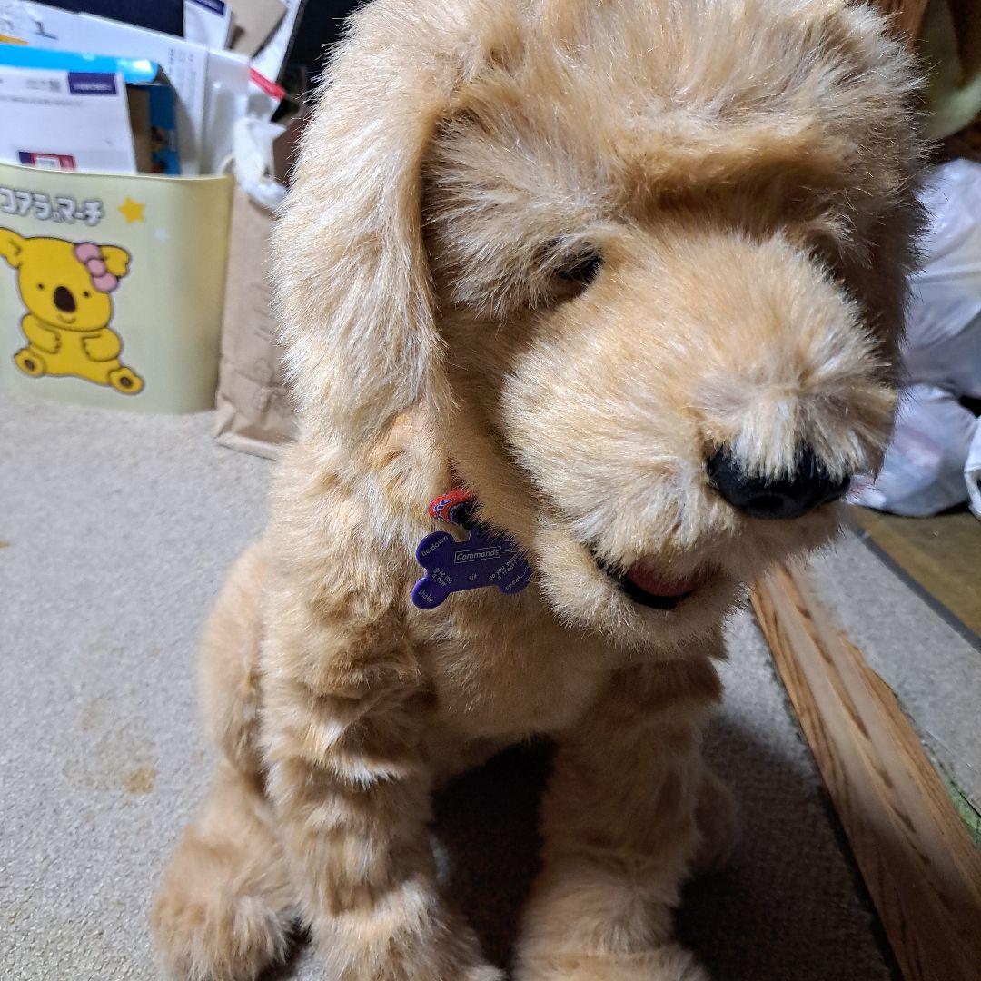 夢いぬDX　ゴールデンレトリバー　希少　BIG　癒し