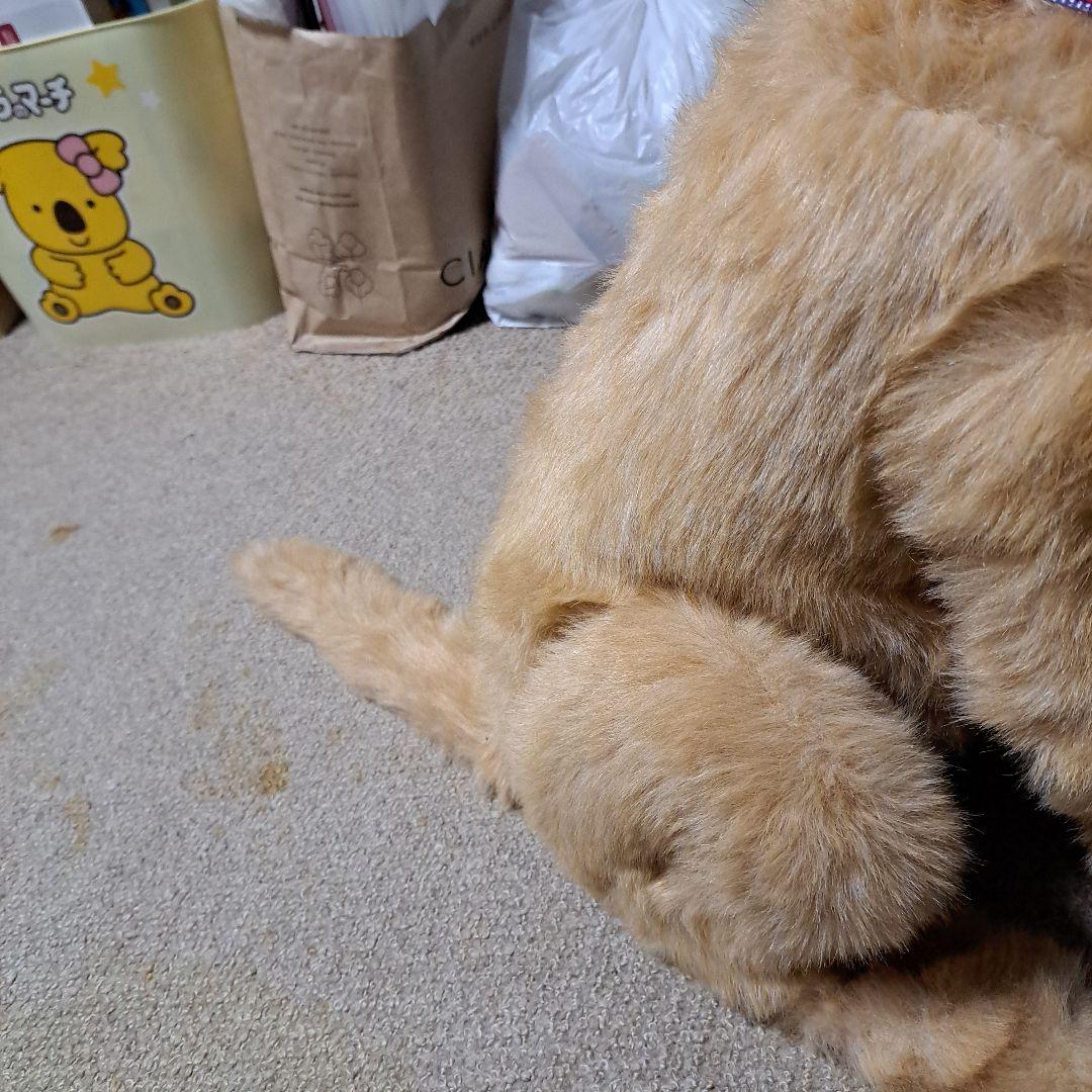 夢いぬDX　ゴールデンレトリバー　希少　BIG　癒し