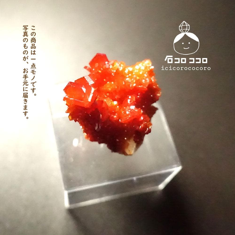 【匿名配送】バナディナイト06◆モロッコ直輸入【かわいい鉱物標本】石コロ ココロ