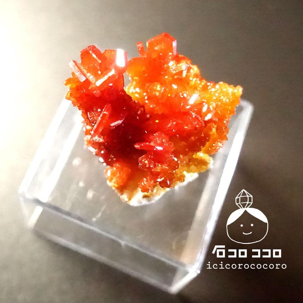 【匿名配送】バナディナイト06◆モロッコ直輸入【かわいい鉱物標本】石コロ ココロ