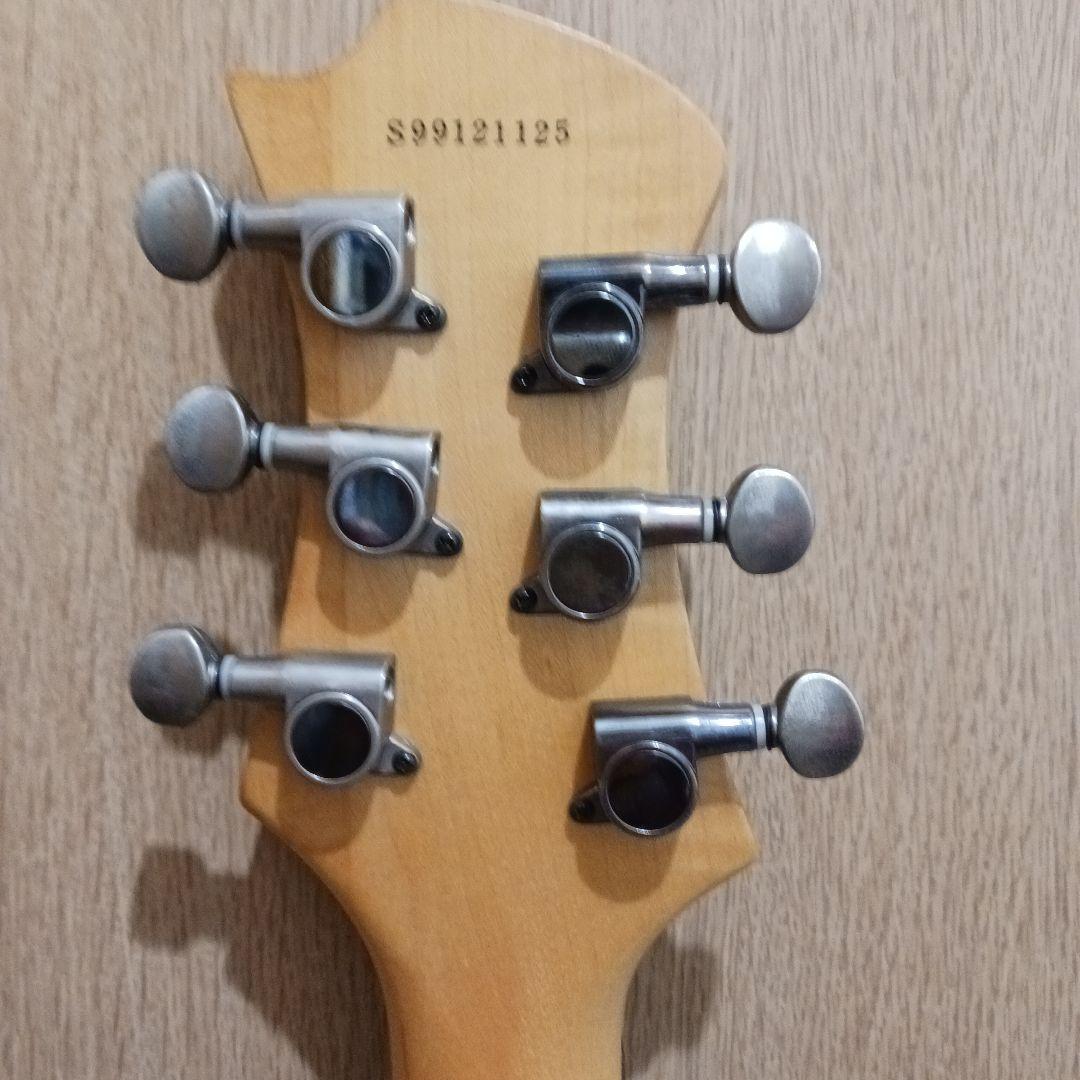 AriaPro2.エレキギター&ショルダーストラップ&ソフトケース