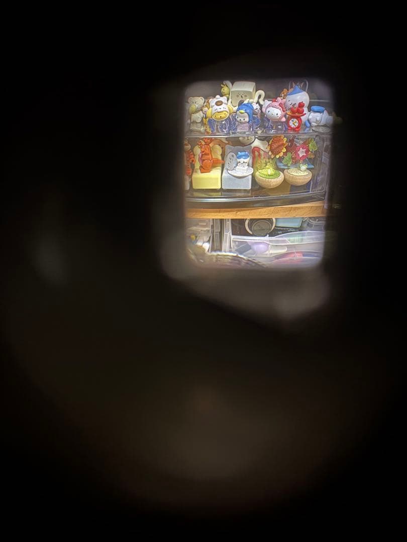 Pearl II 蛇腹　中判カメラ　美品　動作確認