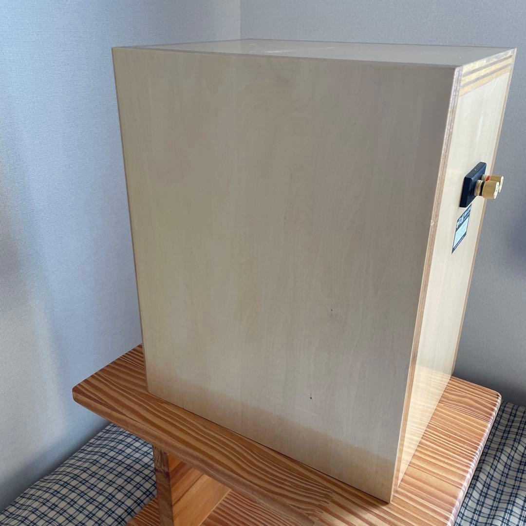 MARKAUDIO Alpair 10 v2 スピーカー　スピ研