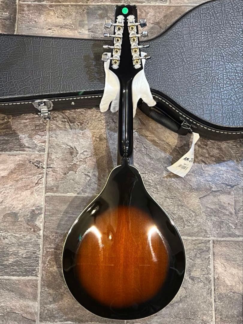 【新品未使用】フラットマンドリン ARIAアリアAM-20E 初心者11点セット