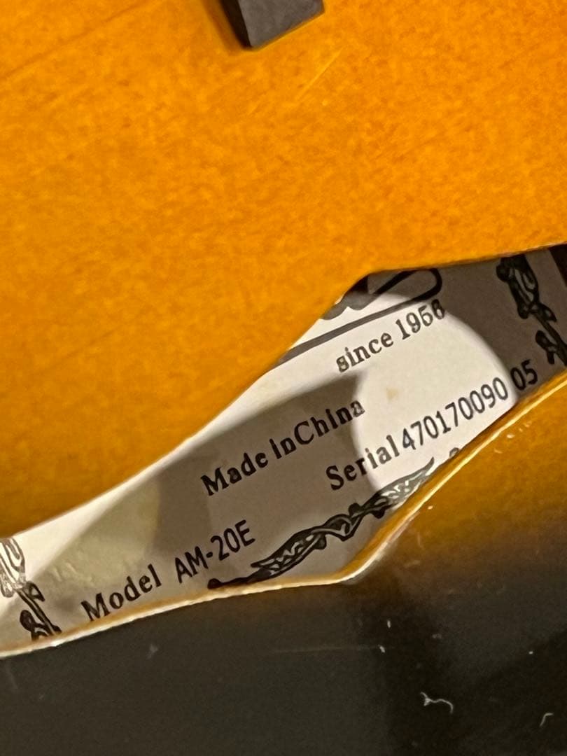 【新品未使用】フラットマンドリン ARIAアリアAM-20E 初心者11点セット