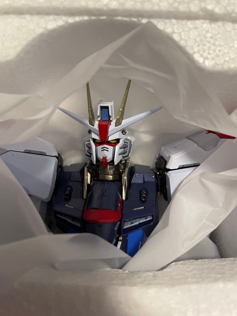 メタルビルド フリーダムガンダム concept2 Sparkle